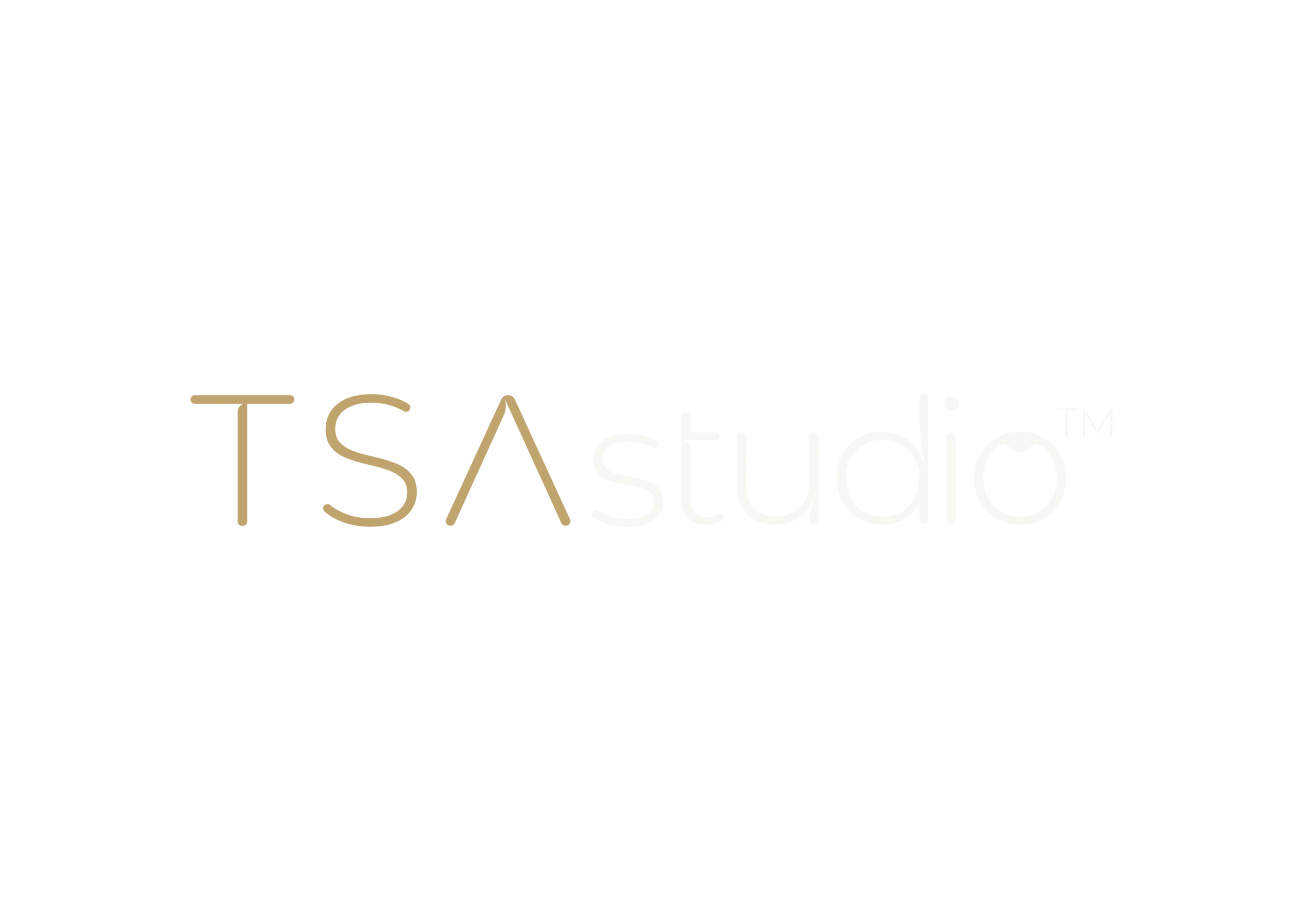 TSA Studio